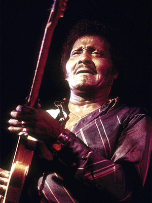 Albert Collins, 1986