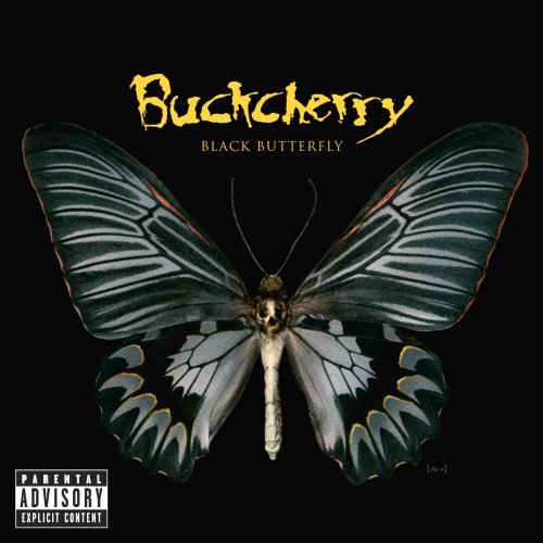 blackbutterfly