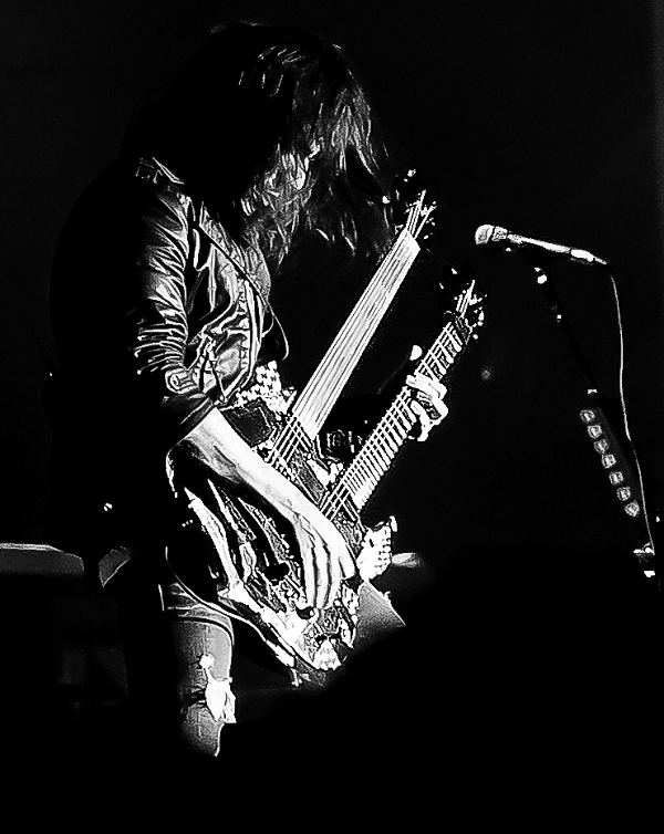 Bumblefoot_photo_by_Hans_Brendestam.jpg