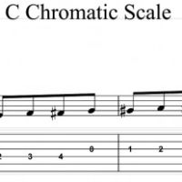 What You Should Know about the Different Guitar Playing Styles: Learning Your Scales
