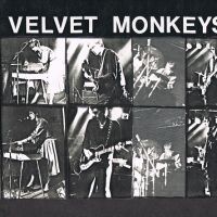 Don Fleming Interview: Remastering the Velvet Monkeys