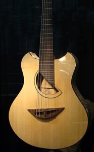 Wechter bass guitar